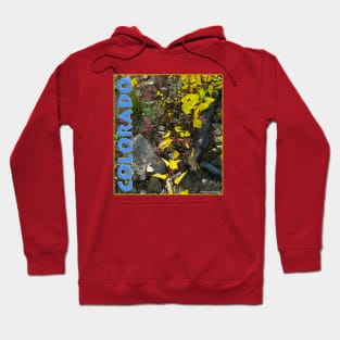 Colorado Aspen Anew Hoodie